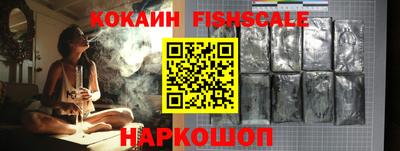 гидра Гатчина