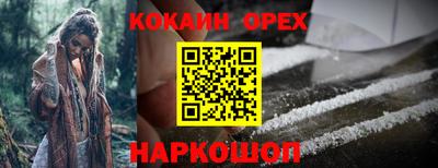 гидра Гатчина