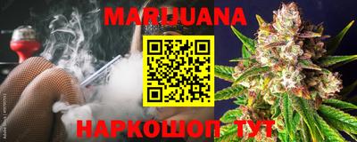 гидра Гатчина