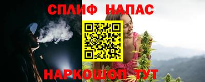 гидра Гатчина