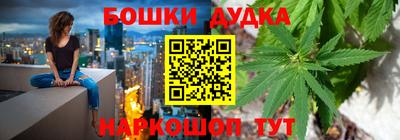 гидра Гатчина